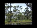 Sacred Spirit - Bluesy Chill Out / Down In Louisiana