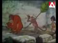 (3) Mowgli le chaoui (3) Mowgli le chaoui