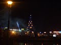 Bradul-din-Bucuresti