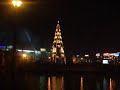 Bradul-din-Bucuresti