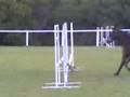 videos de Amy jumping