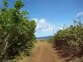 Joel Hamilton Dirt bike easter island
