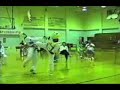 Lance Krall taekwondo fights