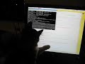 Cat Hack
