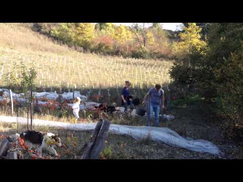 Image de prévisualisation YouTube