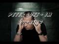 Peter Luts - Im Burning