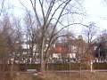 Sawing Black Alder in Kolbermoor / Bavaria Part III