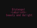 blutengel beauty and delight