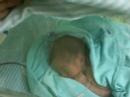 MEU PRINCIPEZINHO ANTONY ...
