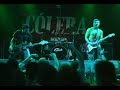 Colera - Aguia Filhote