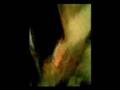 videos de pompom chante piaf