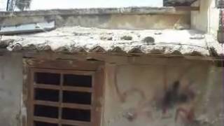 قرية العباسية أ  YouTube