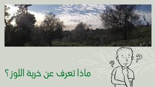 قرى فلسطين | خربة اللوز |