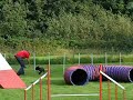 Thyson Agility