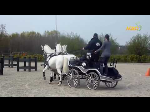 Конете на България - епизод IV