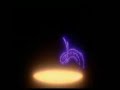 beginning Swan princess 3 (dutch)