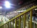 videos de fluitsignaal brugge young boys