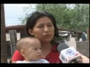 NOTICIAS SONORA, PESTE POR ANIMALES