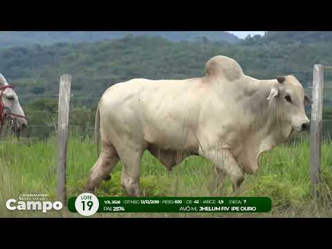 1 De Olho na Fazenda SELEO DO CAMPO