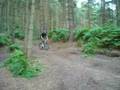 videos de Kinver Downhill