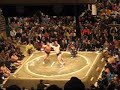 Sumo in Tokyo (1)