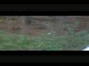 Thumbnail #3