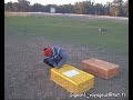 Ismail B pipa derby racig pigeon voyageur maroc sale  lawla3a animal 16