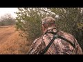  Big Buck