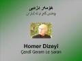 Homer Dizeyî - Çendî Geram Le Şaran ( Guitar ) - هۆمهر دزهیی - چهندی گهڕام له شاران