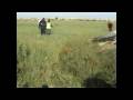 Israeli Occupation Forces Fire on Farmers and Internationals