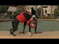 See video