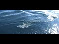 Mazatlan Mexico offshore fishing video 2 Horizan Adventures