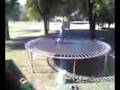 videos de Quinn on Trampoline
