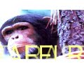 raffi-and-reller-the-video-xyffz567912quantum.html