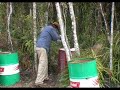 The effects of not stirring enough when adding quicklime to water
