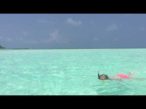Snorkling på Maldiverne - Check Point Travel