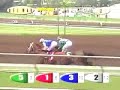 2004 Best Pal Stakes