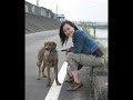 Visit to Animals Taiwan