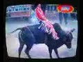 aguilita de zepayautla vs latigo negro
