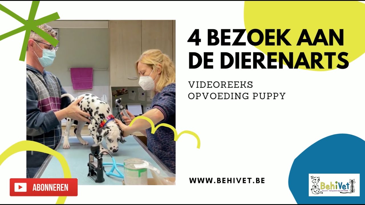 4 Op bezoek bij de dierenarts