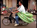 Việt Nam ... Xe Gắn Máy Đa Dụng