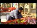 Sarkawt qurbani- wafa bo smail sardashti