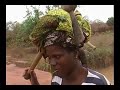 women fishing at karan in the cercle de kangaba, mali, west africa in a stream backed up behind a bridge. they caught tilapia and 