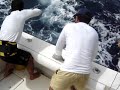 The ICRJ Kaiala team fishing in Cabo Frio - Rolex/IGFA The ICRJ Kaiala team fishing in Cabo Frio - Rolex/IGFA