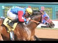 Los Alamitos Race Course continues to profile the top Quarter Horse stallions in California. Here's a look at the outstanding Separatist.