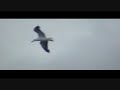 Islay - a symphonic poem