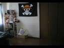 Anrui\ Anrui\