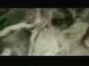 HB - YOUTUBENOVELA 5 - into the hands of humprey bugoy