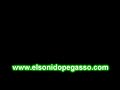 Grupo Pegasso 