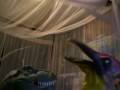 videos de Dinosaurs singing Slim Whitman's: Indian Lovecall